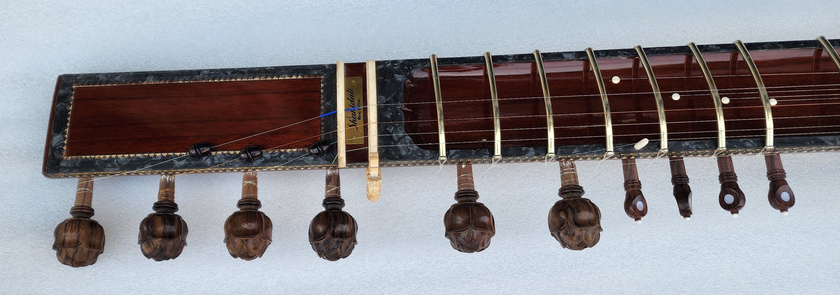Sitar neck and tuning pegs